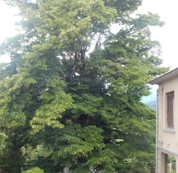 اتاق خانوادگی, Savanna House Jvari