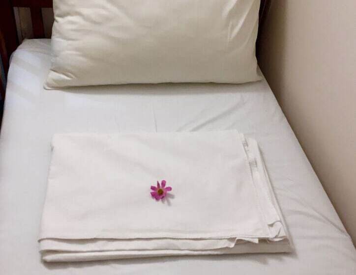 اتاق استاندارد, Friends Forever