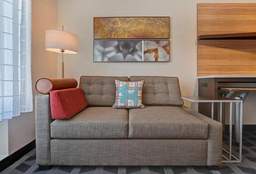 Студио Стандарт Кровать Кинг, Towneplace Suites By Marriott El Paso East/i10