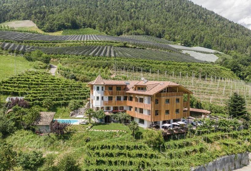 스탠다드 발코니 룸, Aparthotel Abiná Lana Höhe