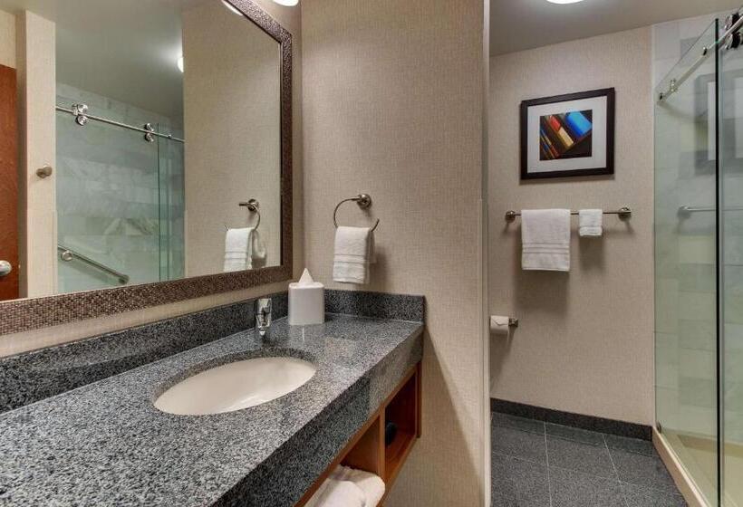 חדר דחוקס עם מיטת קינג, Drury Plaza Hotel Nashville Downtown