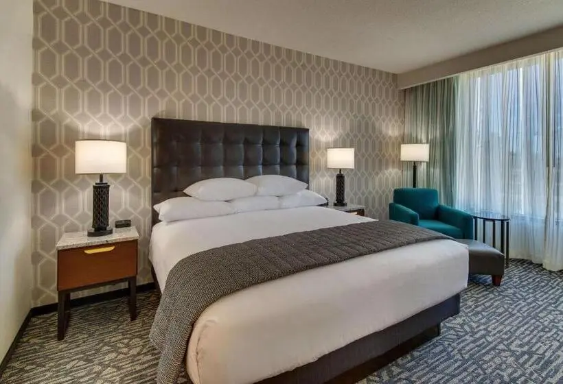 身障者適用スーペリアールーム, Drury Plaza Hotel Nashville Downtown