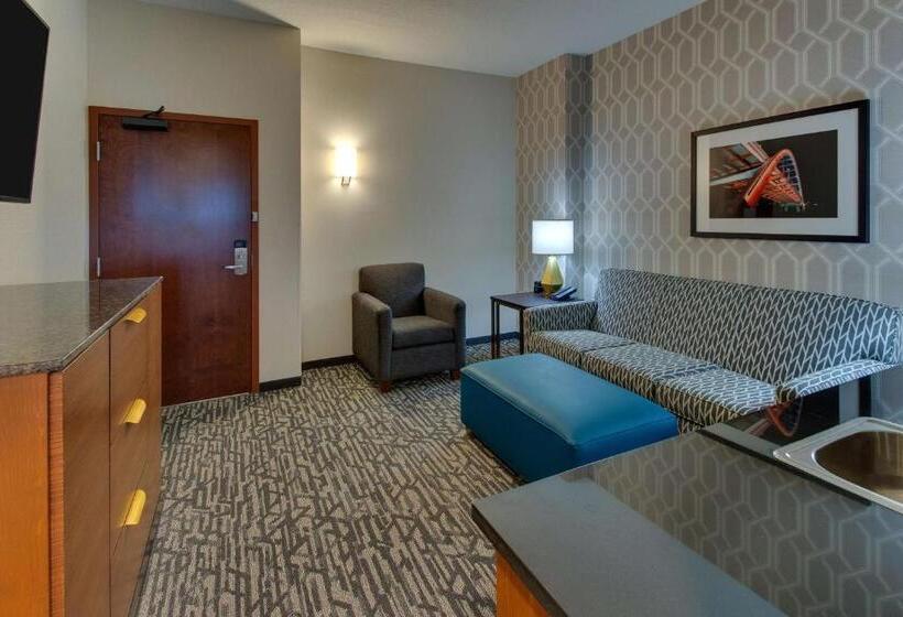 מיטת קינג בסוויטה, Drury Plaza Hotel Nashville Downtown