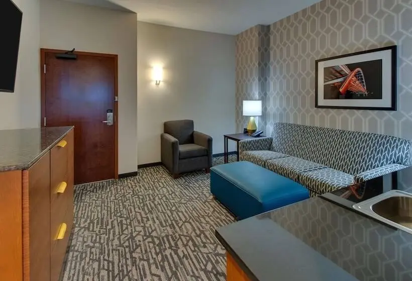 身障者適用スイートルーム, Drury Plaza Hotel Nashville Downtown