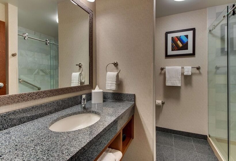 Номер Deluxe Адаптированный для Инвалидов, Drury Plaza Hotel Nashville Downtown