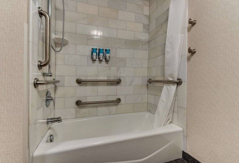 חדר דלוקס מותאם לאנשים עם מוגבלויות, Drury Plaza Hotel Nashville Downtown