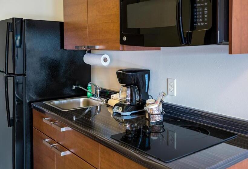 身障者適用クイーンサイズベッドルーム, My Place Hotel Wixom/novi/detroit, Mi