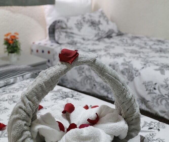 Komfort Trippelrum, Neve Midbar Motel