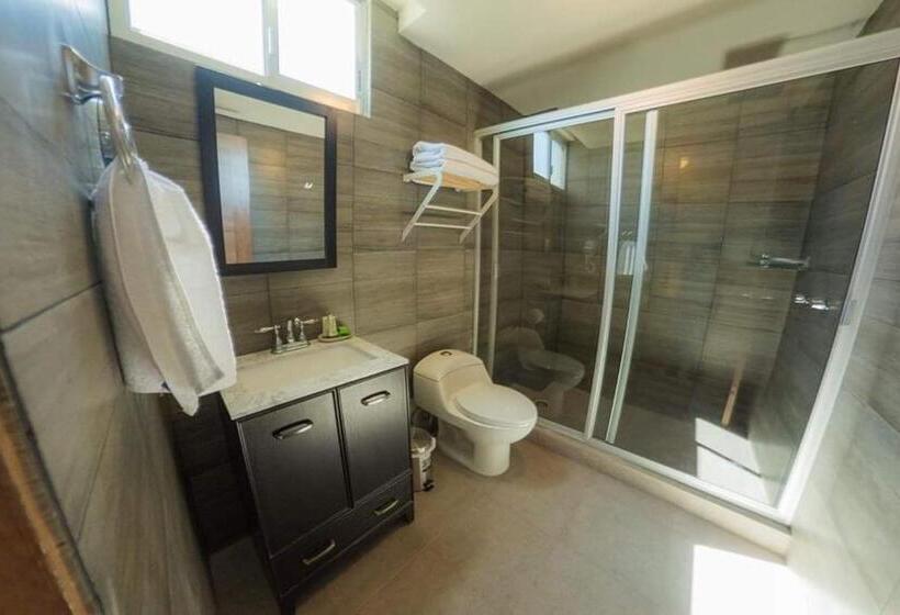 スタンダードルーム, Siena