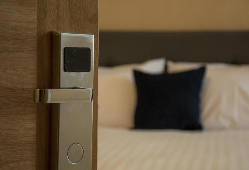 スタンダードルーム, Siena