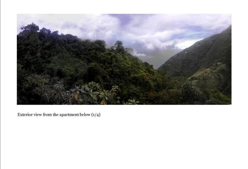 جناح مطلّ علي الجبل, Finca Petrona