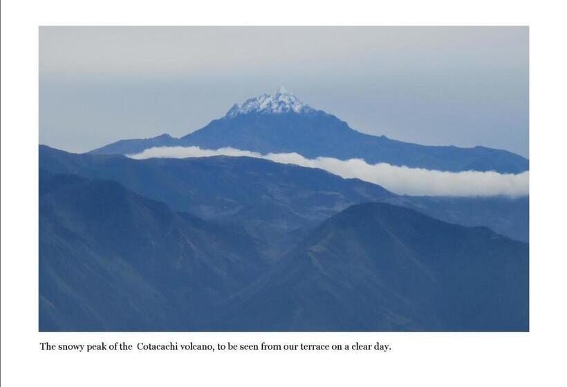 جناح مطلّ علي الجبل, Finca Petrona