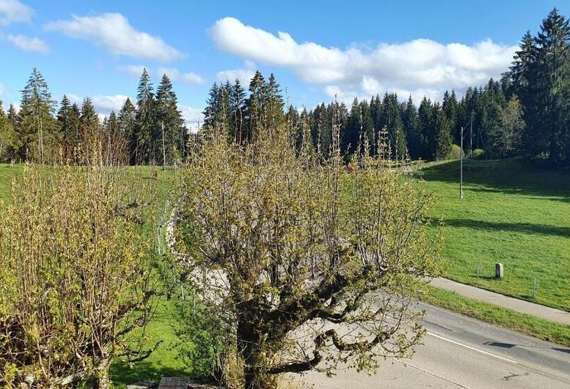 غرفة قياسية حمام مشترك, Auberge De La Couronne