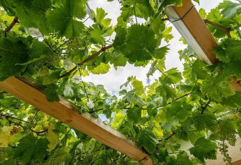 ファミリールーム, Bouti Ayvalık