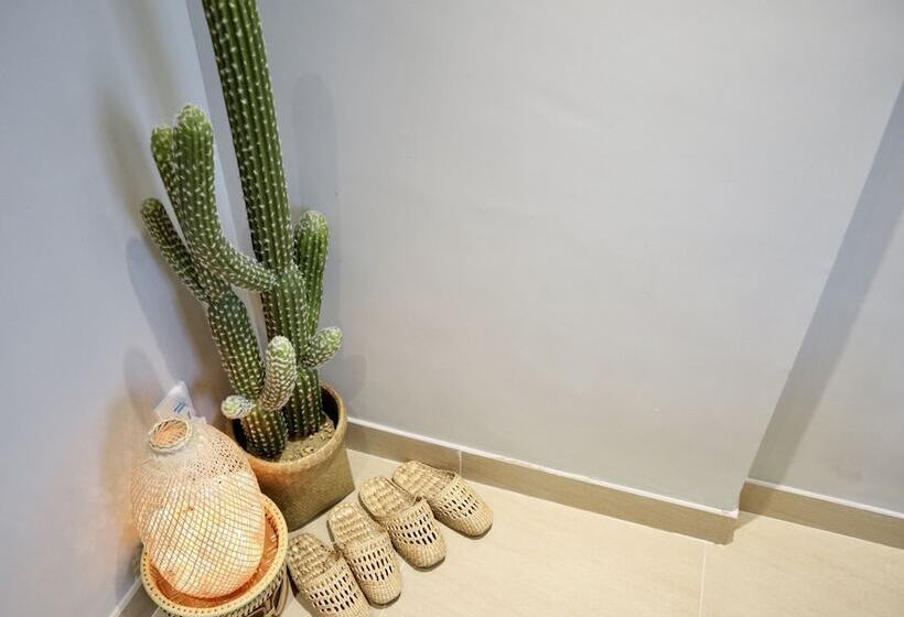 اتاق لوکس, Kactus