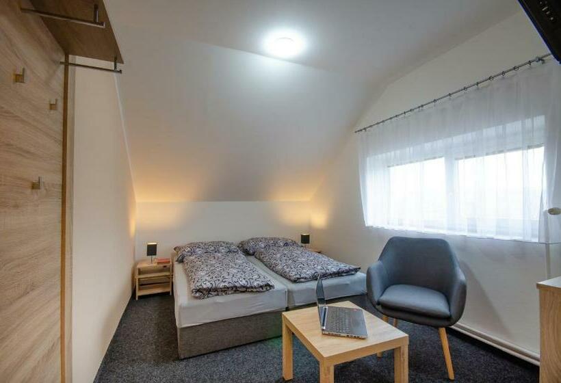 Standard-huone, Penzion Hády