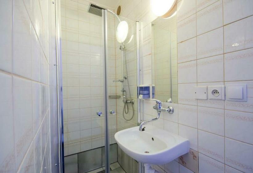 Standard-huone, Penzion Hády