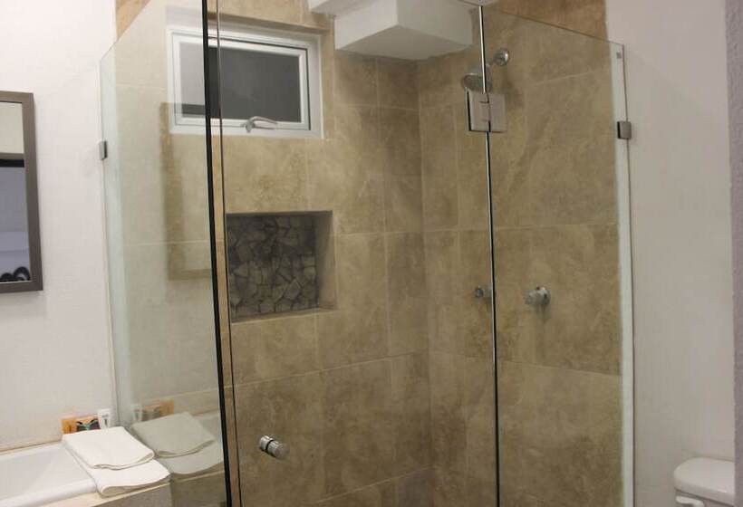 디럭스 룸, Celin