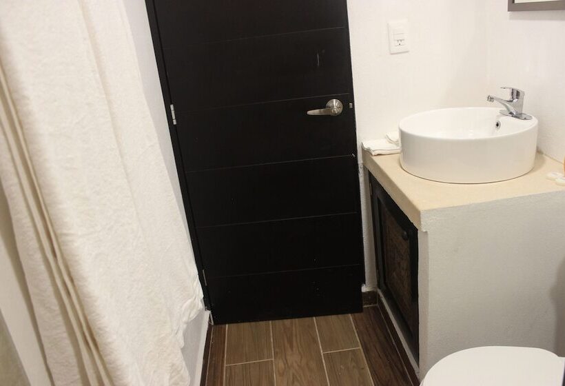 스탠다드 룸, Celin