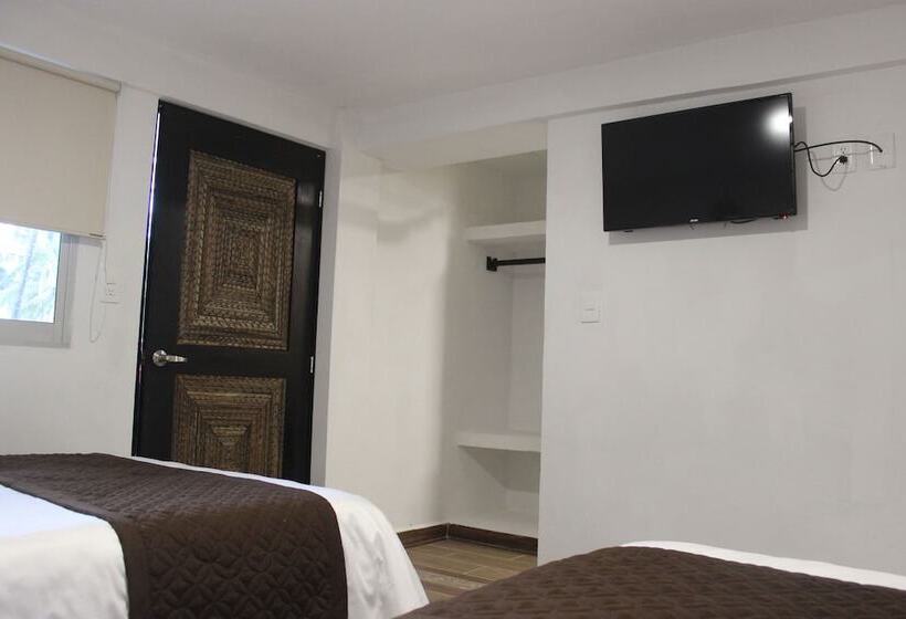 스탠다드 룸, Celin