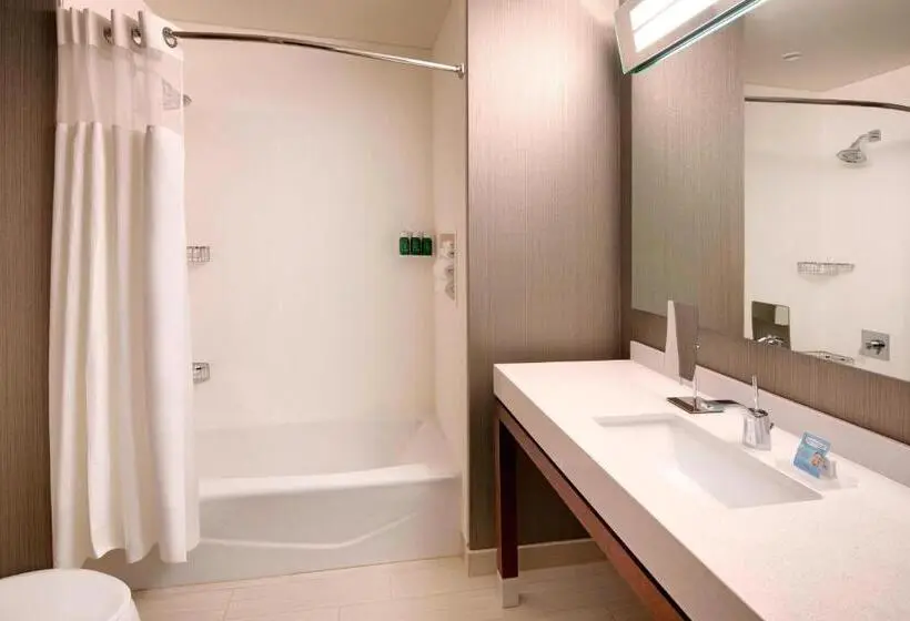 スタンダードシティビュールーム, Courtyard By Marriott Atlanta Vinings/galleria