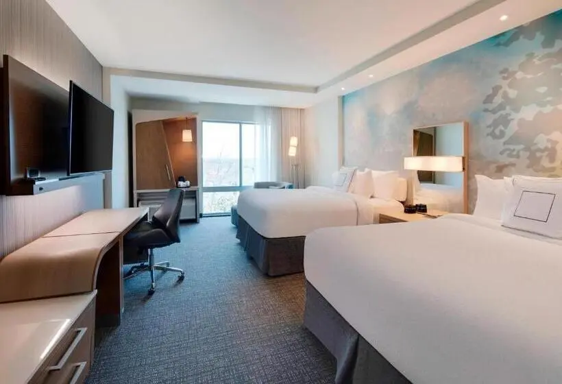 スタンダードシティビュールーム, Courtyard By Marriott Atlanta Vinings/galleria