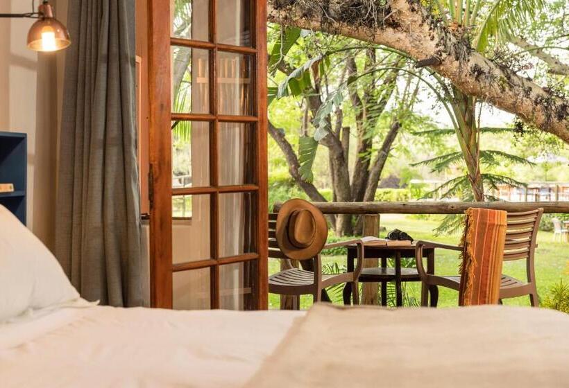 اتاق استاندارد با چشمانداز باغ, Sedia