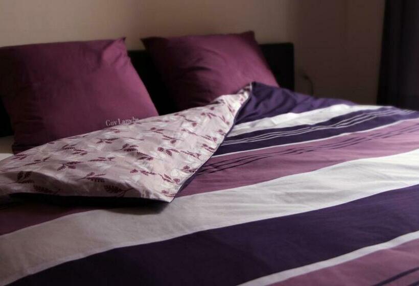 غرفة قياسية, B&b Utrecht Domkwartier