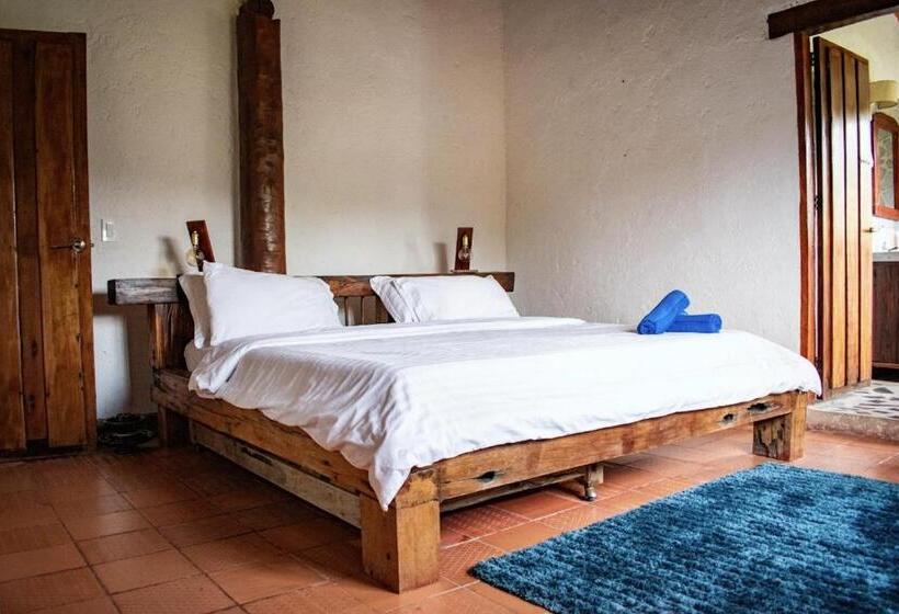 Quarto Standard Cama King, Beyonda