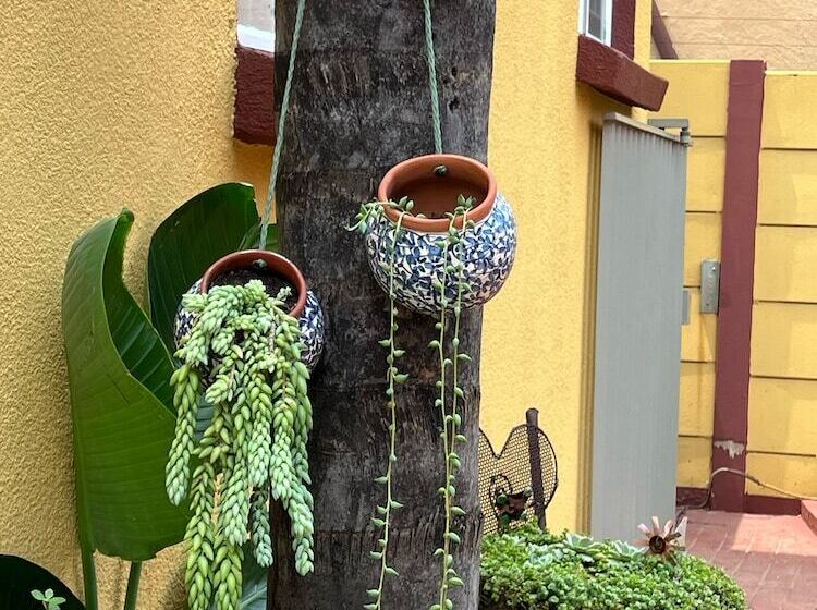 חדר משפחתי, Marle  Lodge