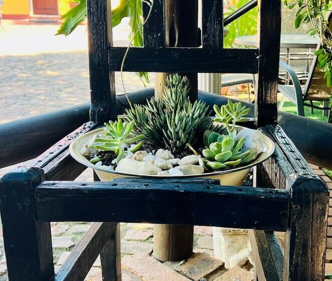 חדר משפחתי, Marle  Lodge