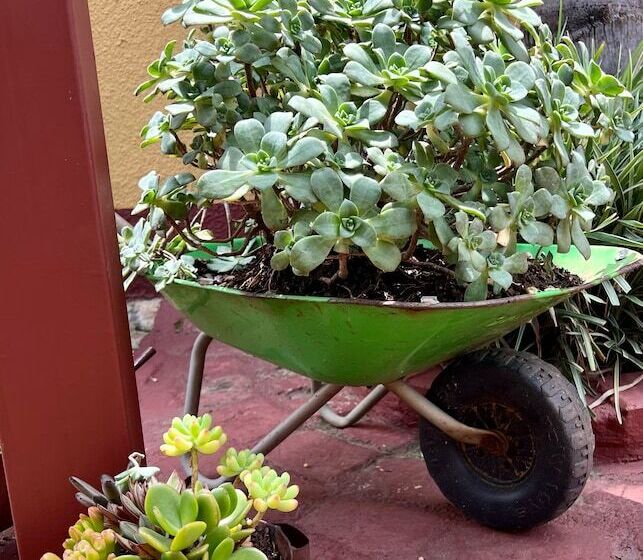 חדר משפחתי, Marle  Lodge