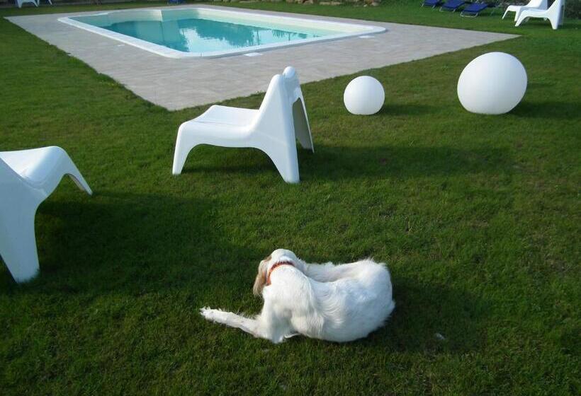 شقة غرفة واحدة, Case Brizi 10