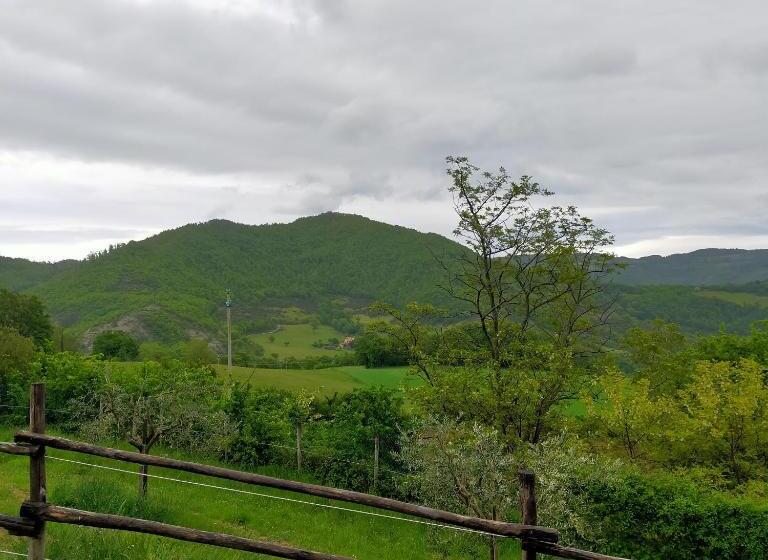 شقة غرفة واحدة, Case Brizi 10