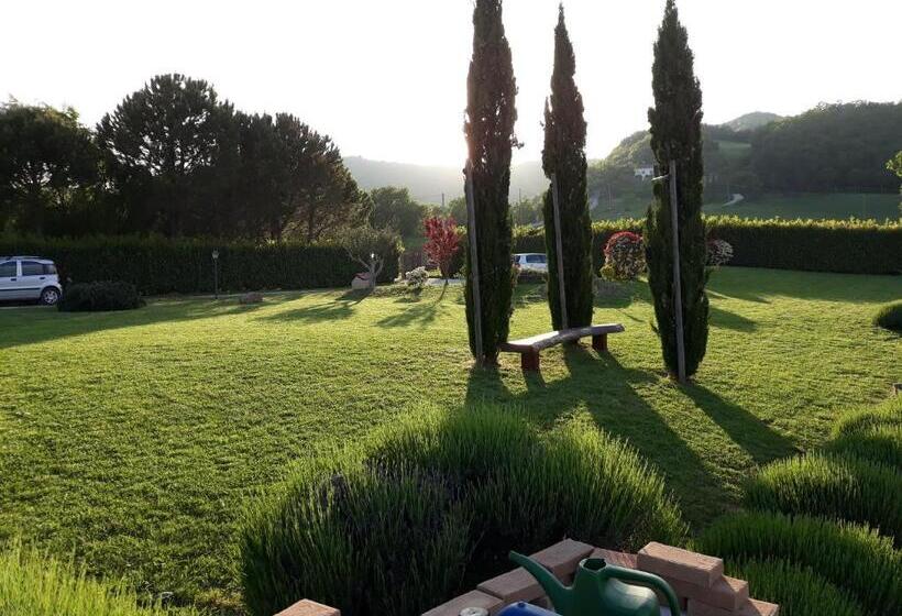 شقة غرفة واحدة, Case Brizi 10