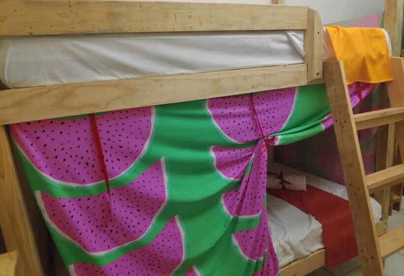 سرير فى غرفة مشتركه, Hostel Morenita Linda