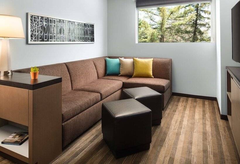 Люкс, Hyatt House San Jose/cupertino