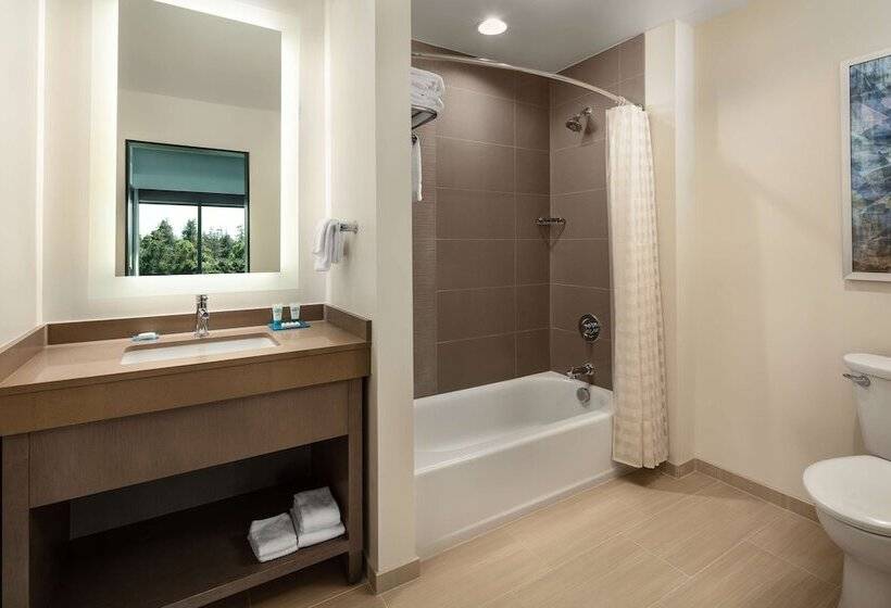 Президентский Люкс, Hyatt House San Jose/cupertino