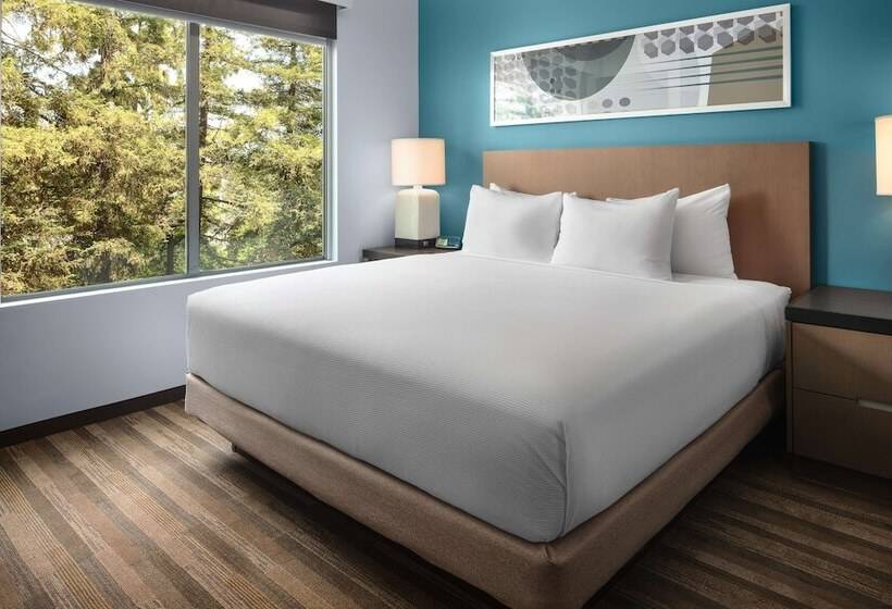 Студия Стандарт, Hyatt House San Jose/cupertino