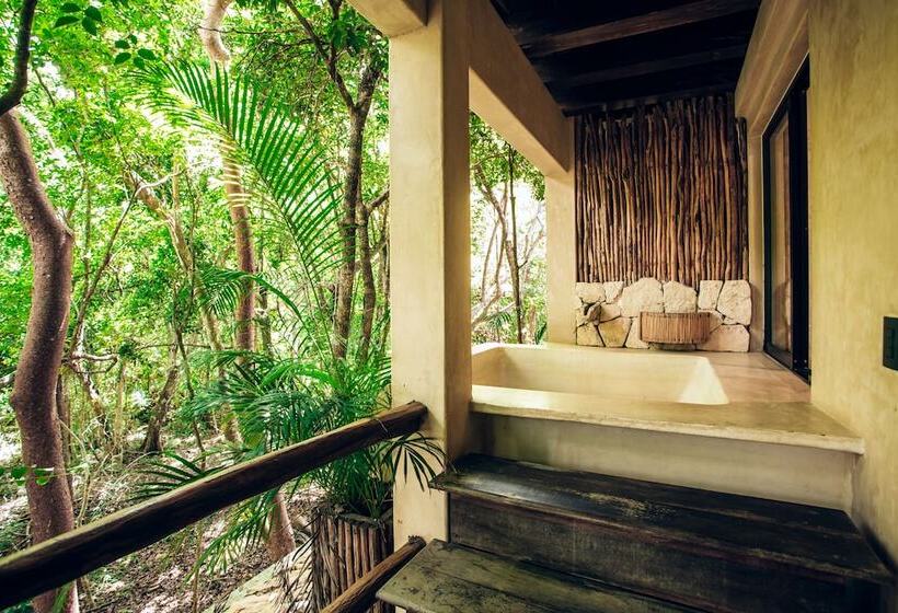 Lakosztály, Orchid House Tulum Jungle