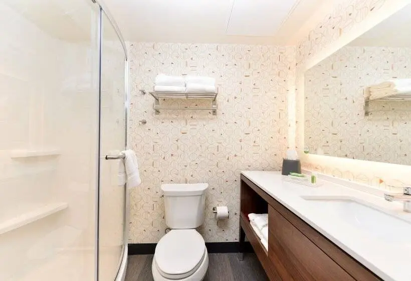 スタンダードルーム, Holiday Inn & Suites Orlando I Drive Theme Parks