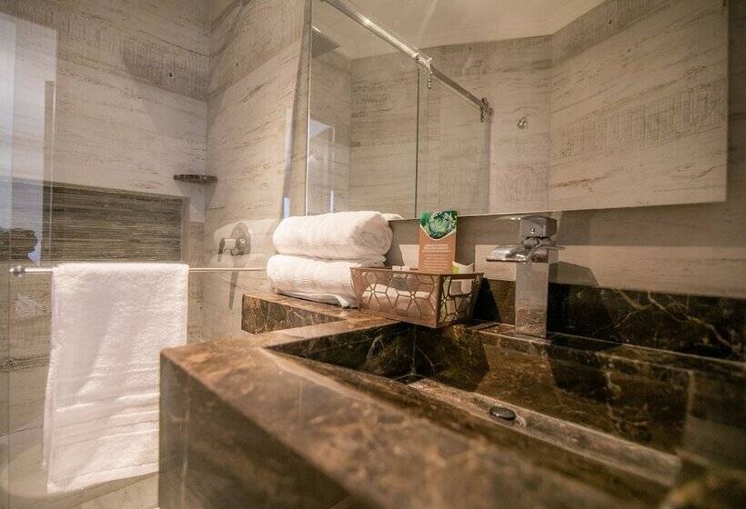 חדר דלוקס, Piemont Hotel Boutique