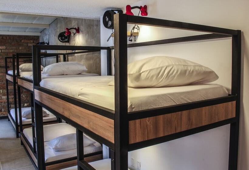 سرير فى غرفة مشتركه, Zamia Hostel