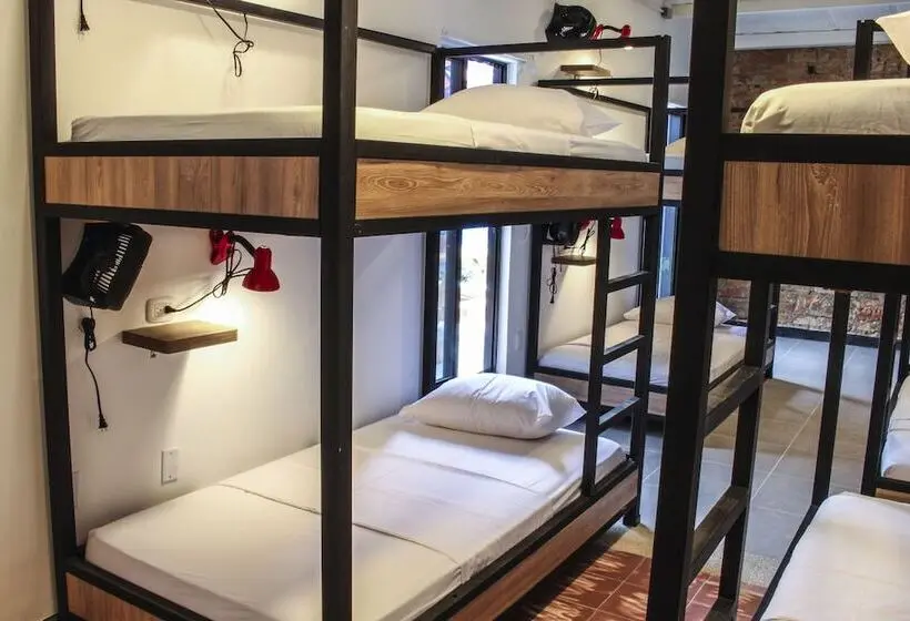 ルームシェアのワンベッド, Zamia Hostel