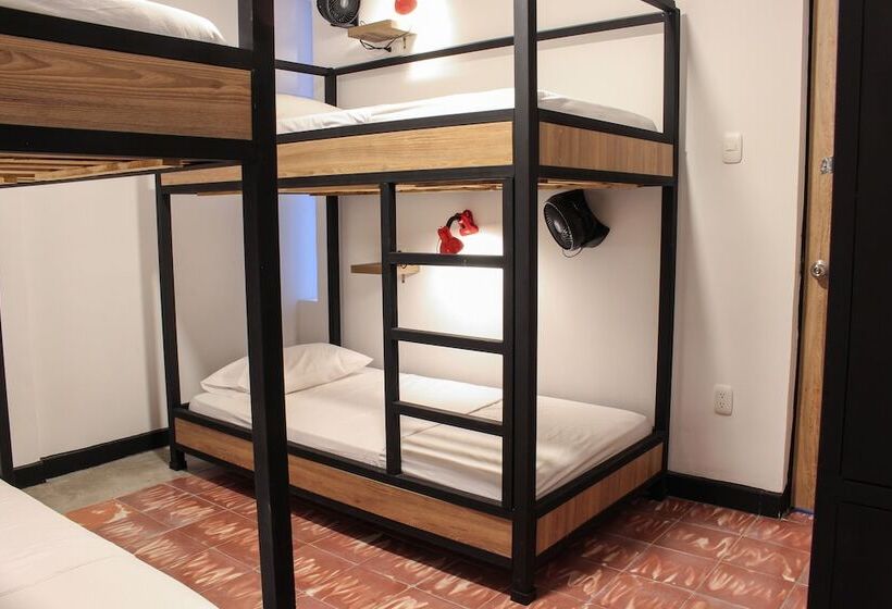 سرير فى غرفة مشتركه, Zamia Hostel