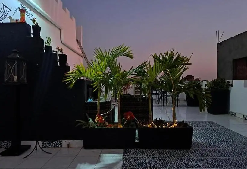 استودیو استاندارد با تراس, Butterfly Lodge