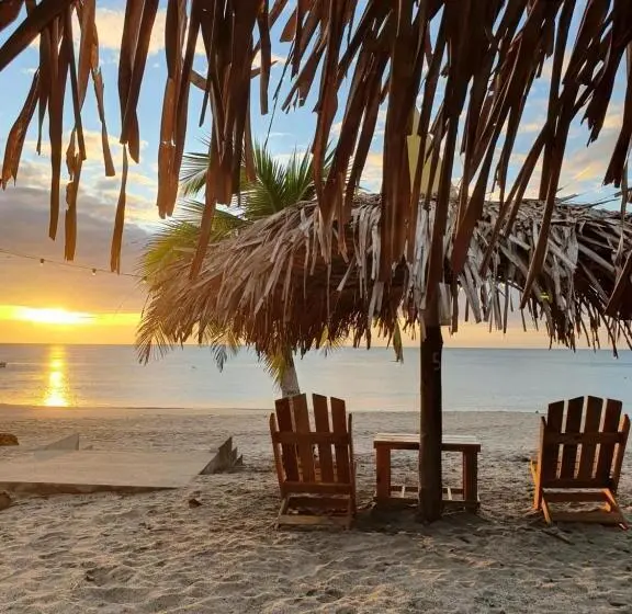 اتاق استاندارد با بالکن و چشم‌انداز دریا, Nico S Beach Panama