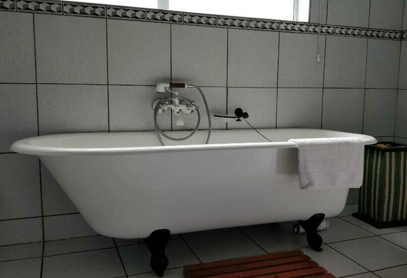 חדר דלוקס, Mtuba Manor Guest House