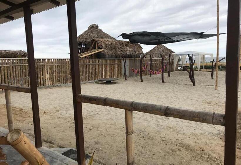 スタンダードバンガロー, Maria Jose Bungalows