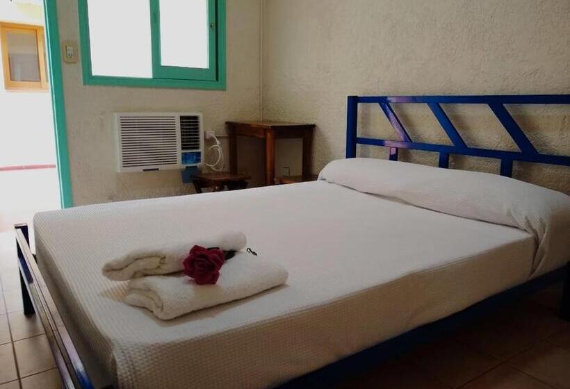 חדר סטנדרט, Black Sheep International Hostel